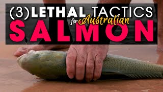 3  LETHAL TACTICS Beach Fishing For Aussie Salmon [upl. by Janine]