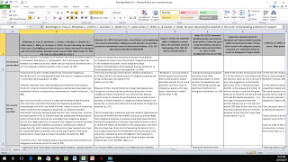 How to Create a Literature Matrix Excel [upl. by Eahsram]