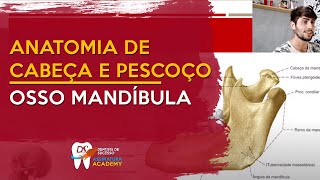 Osso Mandíbula  ANATOMIA DE CABEÇA E PESCOÇO [upl. by Bergmann498]