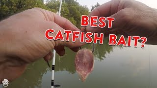 How To Catch Catfish From The Bank  Catfishing Bait Rigs amp Tips [upl. by Paza]