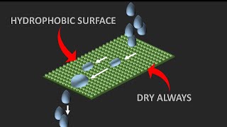 Science behind Hydrophobic technologies  The lotus effect [upl. by Robbie]