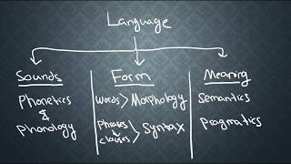 SEMANTICS1 What is Semantics [upl. by Idelson]