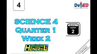 SCIENCE 4 Quarter 1 Week 2 Lesson 2 MATATAG [upl. by Yrallih289]