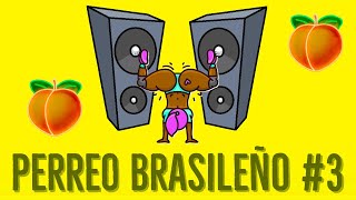 MIX PERREO BRASILEÑO 3  DJ DEIVID [upl. by Eudoxia]