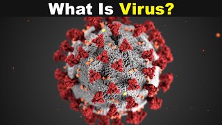 What Is Virus  Type of viruses UrduHindi [upl. by Anialed]