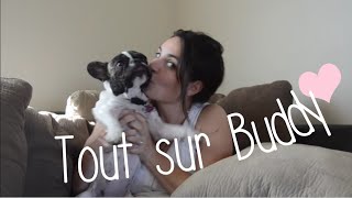 Tout sur mon bouledogue français [upl. by Byran]