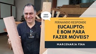 Eucalipto é uma madeira boa para móveis Fernando responde [upl. by Kerry]