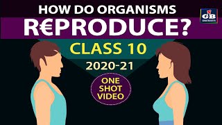 How do organisms Reproduce class 10 fullchapter  Class 10th CBSE biology  ncert class 10 science [upl. by Bellis]