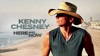 Kenny Chesney  Happy Does Audio [upl. by Aneerehs]