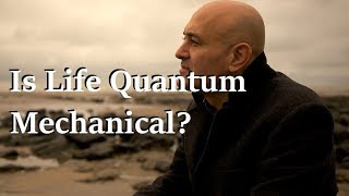 Is Life Quantum Mechanical  Prof Jim AlKhalili [upl. by Zobias]