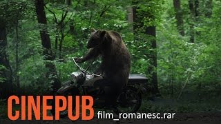 URSUL  Film Romanesc comedie  CINEPUB [upl. by Winterbottom]