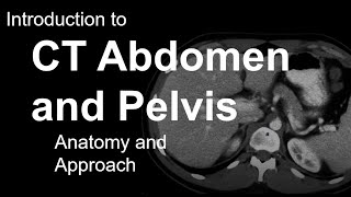 Introduction to CT Abdomen and Pelvis Anatomy and Approach [upl. by Nylhtak]