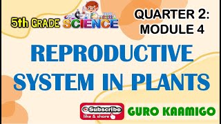 Science 5 Quarter 2 Module 4 [upl. by Belle]