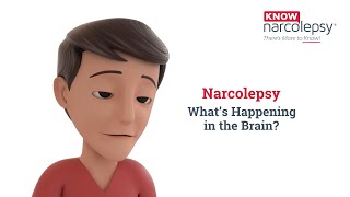 Narcolepsy What’s Happening in the Brain [upl. by Gilliette818]