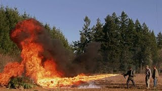 Flamethrower vs Spider Trench [upl. by Harak]