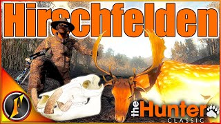 Hirschfelden Delivers for Our Trophy Lodge  theHunter Classic [upl. by Nagah246]