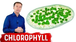 9 Proven Benefits of Chlorophyll [upl. by Ayikin]