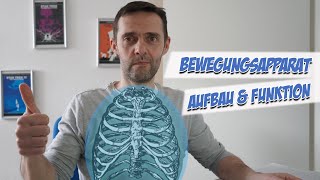 Bewegungsapparat  Anatomie  Pflege Kanal [upl. by Negeam]