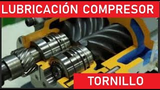 LUBRICACION DE COMPRESOR DE TORNILLO EN SISTEMAS DE REFRIGERACIÓN INDUSTRIAL Y CHILLER [upl. by Malory]