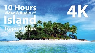 4K UHD 10 hours  Tropical Island amp Gentle BirdsWaves Audio window  relaxation meditation nature [upl. by Idnor]