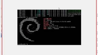 DenOS HowTo create your own Debian Distribution in 10 Minutes with Debootstrap [upl. by Thorncombe]