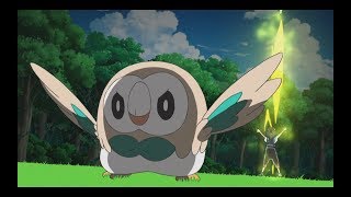 Pokemon Sun amp Moon  Rowlet uses quotBloom Doomquot ZMove  Ash vs Hau Rematch Episode 97 HD [upl. by Ytsenoh156]