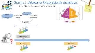 Thème 4  Chapitre 1  Ladaptation des ressources humaines aux objectifs stratégiques [upl. by Nylarat909]