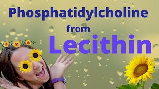 Phosphatidylcholine from Lecithin Brain SUPER Food [upl. by Fuld]