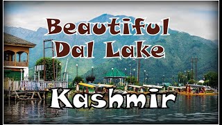 Dal Lake Kashmir [upl. by Arelus]