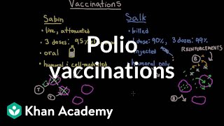 Polio vaccinations  Infectious diseases  NCLEXRN  Khan Academy [upl. by Eynobe58]