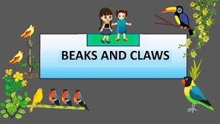 CBSE Class 4 Science Beaks and Claws of Birds [upl. by Lindi197]