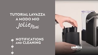 Lavazza A Modo Mio Jolie Plus  Tutorial notifications and cleaning  Lavazza [upl. by Nimaynib273]