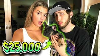 BUYING A 25000 PUPPY not clickbait [upl. by Dorkus]