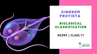 Biological Classification  Kingdom Protista  NCERT  Class 11  Chapter 2  Biology [upl. by Ennovihc]