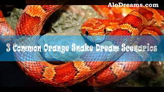 3 Dreams about Orange Snakes Meaning amp Interpretation [upl. by Irvine]