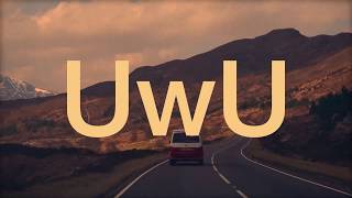 The Sundown  UwU Official Lyric Video [upl. by Rebmyt]