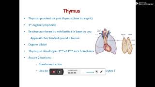 les organes lymphoides [upl. by Elinad]