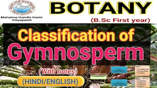 Classification of Gymnosperms [upl. by Yenahteb]