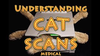 How Does a PET Scan Work [upl. by Enilamme]