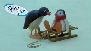 Pingu Pinga and Pingu [upl. by Fong]