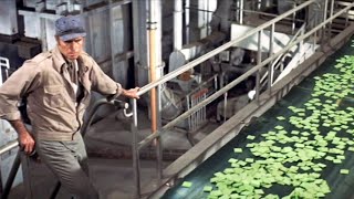 Soylent Green  Full Movie  Story Explain  Charlton Heston  Edward G RobinsonLeigh TaylorYoung [upl. by Murrah983]