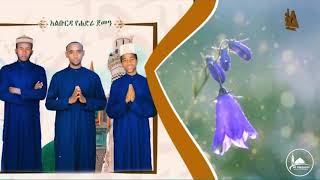 New Ethiopian Menzuma 2019  አልቡርዳ የሐድራ ጀምዓ [upl. by Linzer]