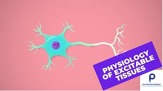 Physiology of excitable tissues [upl. by Yerot293]