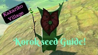 BotW Guides  Kakariko Village Korok Seed Guide [upl. by Ardolino940]