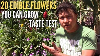 20 Edible Flowers You Can Grow amp Eat Taste Test [upl. by Mitch]