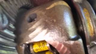 part 4 c clip axle removal  posi install 12 bolt rear end limited slip differential [upl. by Aileme235]