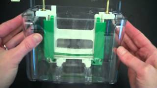 SDS PAGE Part 1 Assembly and Electrophoresis [upl. by Aydin]