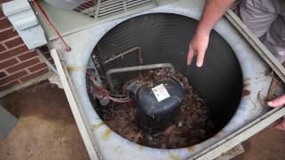 Professional Heat Pump Maintenance [upl. by Nathanael]