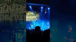 Slaughter to prevail live [upl. by Silverts]