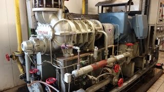 Screw Compressor Mycom 250LUDMX  NH3Ammonia [upl. by Minta]